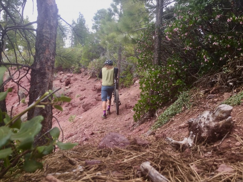 bontrager foray - the bontrager foray&#039;s sole is grippy enough for hiking loose...