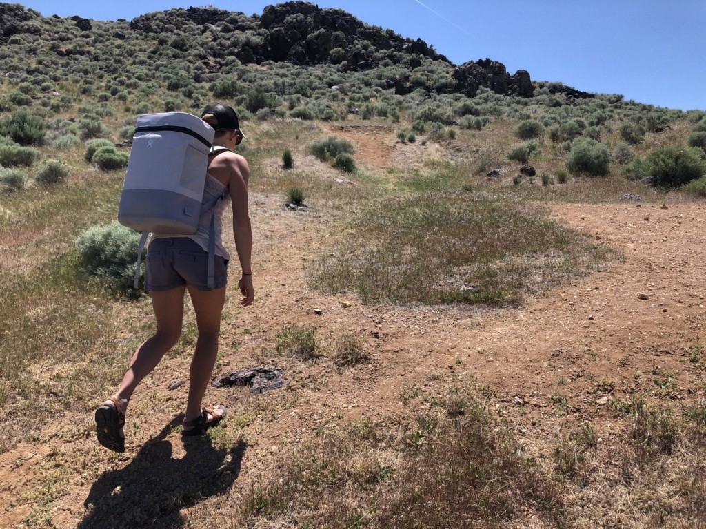 Hydro Flask Soft Cooler Pack - Dardano's Shoes