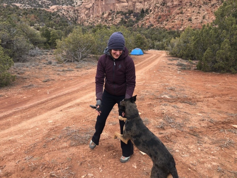 black diamond first light hybrid hoody for women - this warm and stretchy hoody is best for chilly camp days, casual...