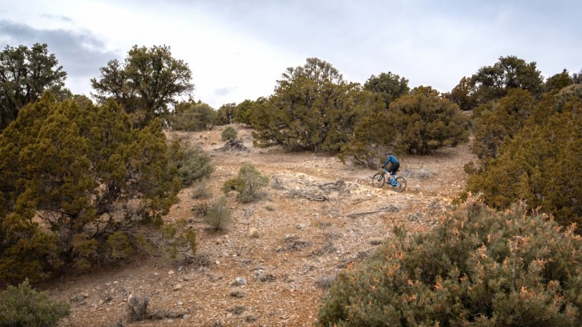 giant trance 29 2 - the trance is perfectly capable of long, multi-hour, grinds uphill.