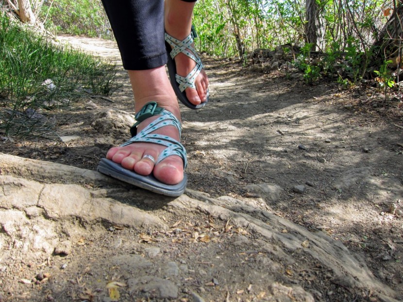 chaco z/volv x2 for women - the sole of the z/volv x2 is pliable enough to contour to uneven...