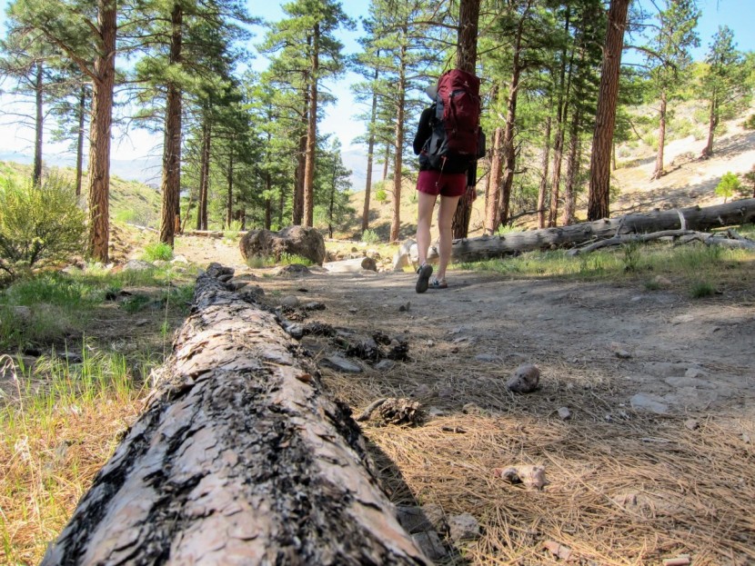 chaco z/volv x2 for women - the z/volv x2 is comfortable and stable enough to wear with a heavy...