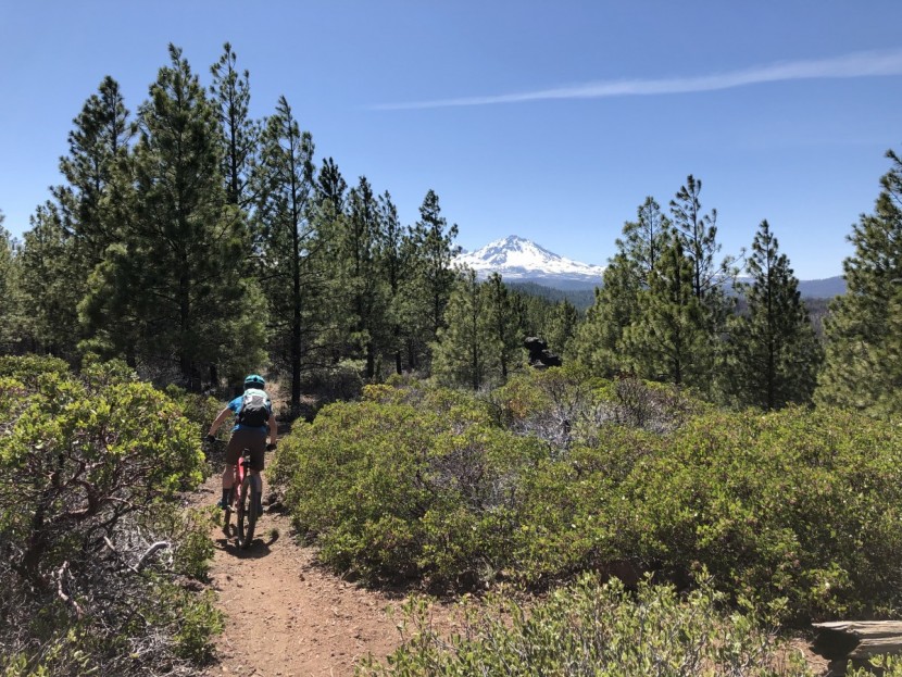 troy lee designs skyline for women - breathable and comfortable, the skyline got us to the skyline!