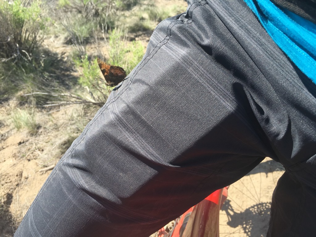 Club Ride Apparel Ventura Review | Tested by GearLab
