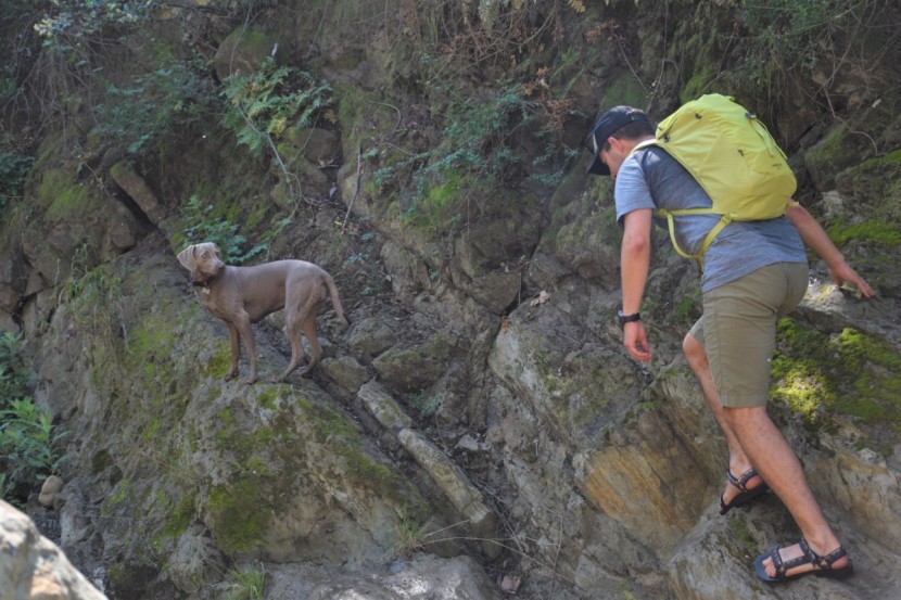 sandals mens - this rocky creekbed hike challenged even the most stable models.