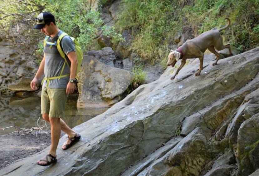 chaco z/volv 2 - we couldn&#039;t find anywhere the z/volv 2 couldn&#039;t go.