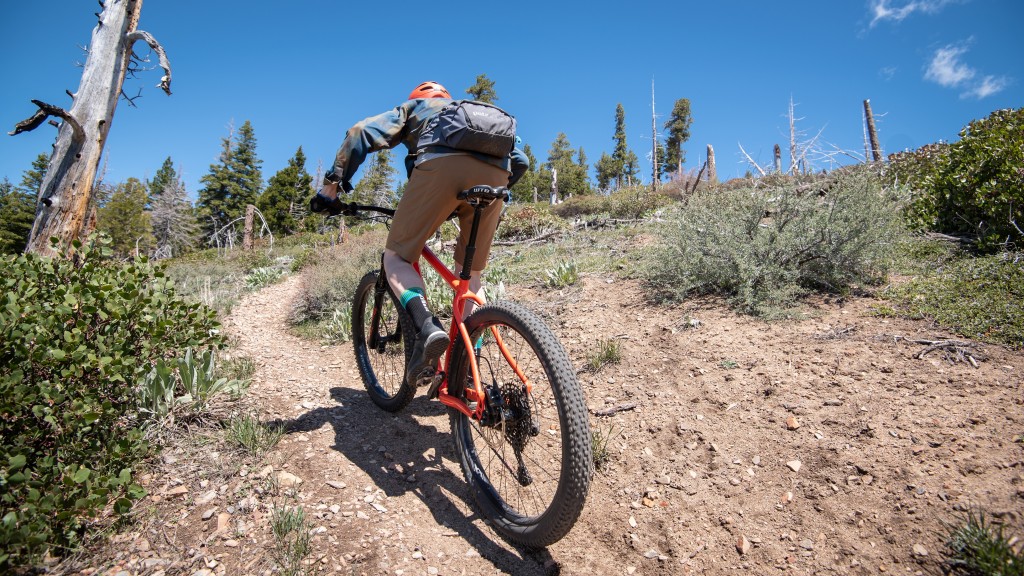 Salsa Timberjack NX Eagle 27.5 Review Tested by GearLab