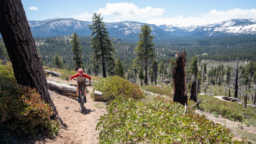 ibis dv9 nx - if you&#039;re looking for a lightweight, versatile, and efficient...