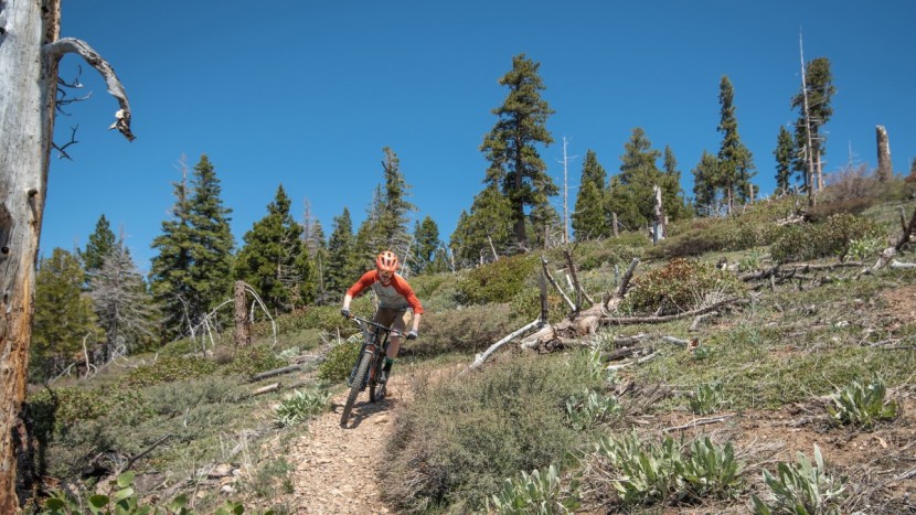 schwalbe nobby nic addix - it's a pretty solid all-around trail riding tire, but at this price...