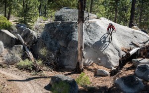 Lead photo for Best Hardtail Mountain Bikes