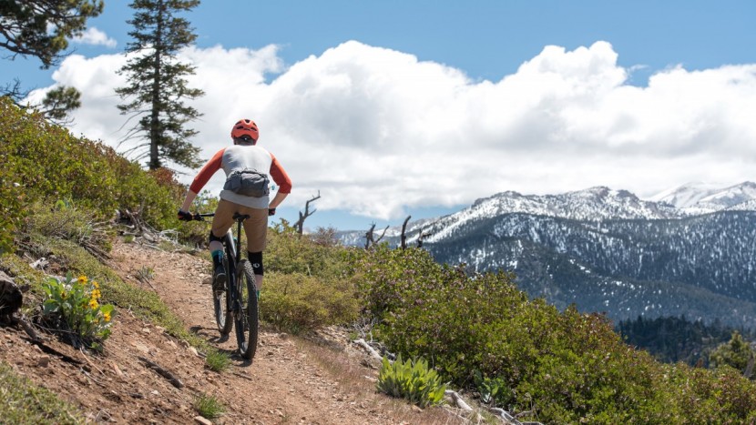 ibis dv9 nx - if you value efficiency the dv9 won&#039;t let you down.