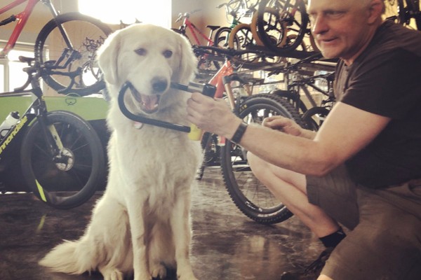 bike lock - bike thieves stop at nothing to crack even the most secure locks...