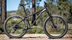 Norco fluid 2 shop ht nx eagle