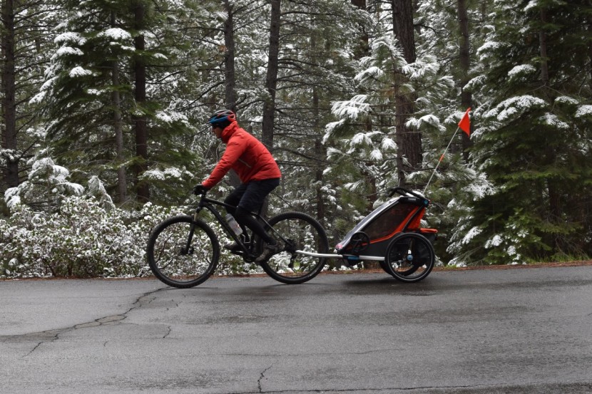 thule chariot cross 2 - this trailer is bomb proof in adverse weather conditions, even...
