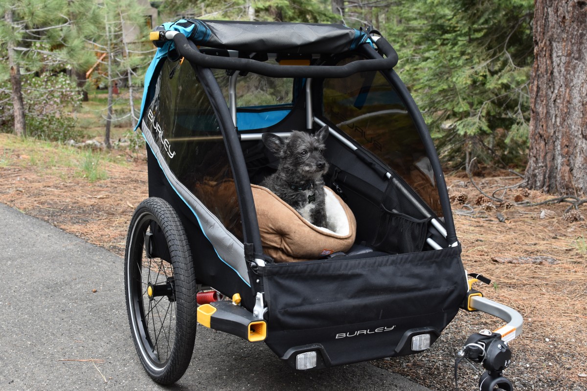 Burley D'Lite X Review (When your kids have moved on to their own bikes, you can still haul your fur babies around in the versatile D'Lite X.)