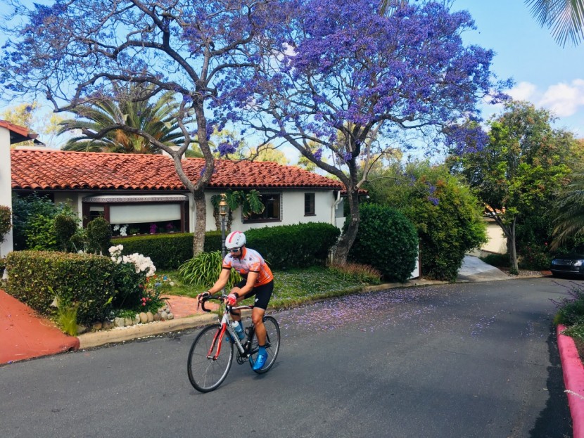 assos t equipe evo - with the assos t equipe evo, you get the basic black with limited...