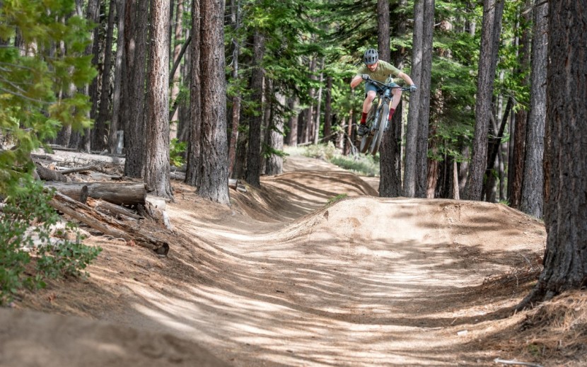 niner rip rdo 29 3-star - it&#039;s a ripping trail bike with a serious preference for being...