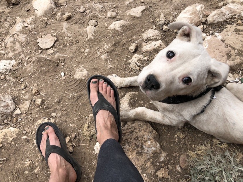 hoka ora recovery flip for women - after pulling off tight climbing shoes the ora feels pretty lush and...