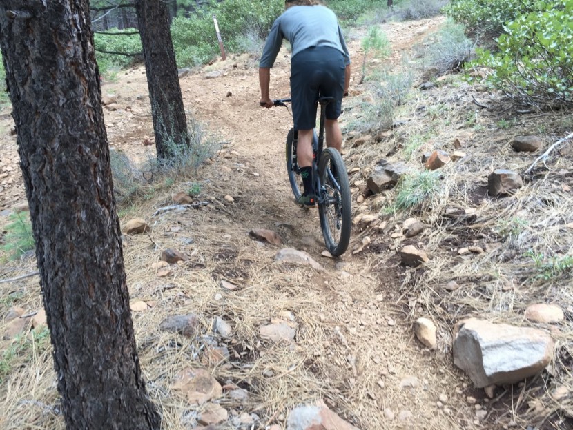 bontrager foray - weight is one of the foray&#039;s strong suits. these are a lightweight...