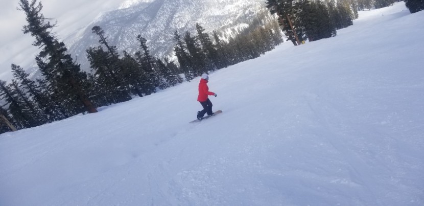 arbor swoon rocker - while the swoon rocker is a blast in powder, we wouldn&#039;t recommend...