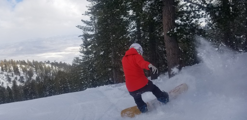 arbor swoon rocker - the swoon rocker is soft and playful, but we weren&#039;t enamored with...