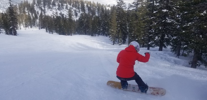 arbor swoon rocker - the swoon rocker is a fun all around board, but not our favorite for...