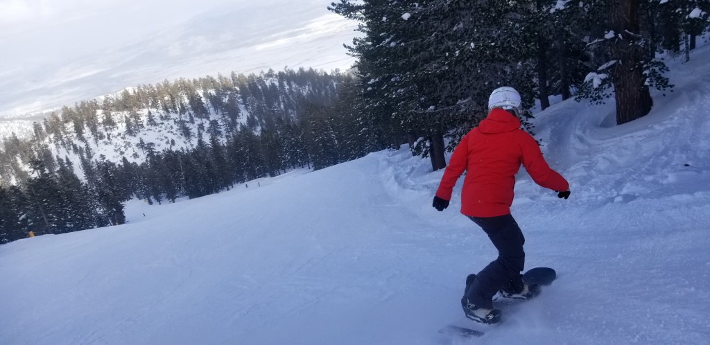 burton family tree story board for women - the story board is stable and built for speed.