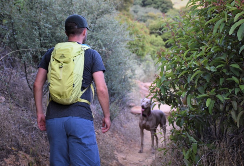 hydration pack - the gregory nano 18 provides plenty of storage for all-around use.