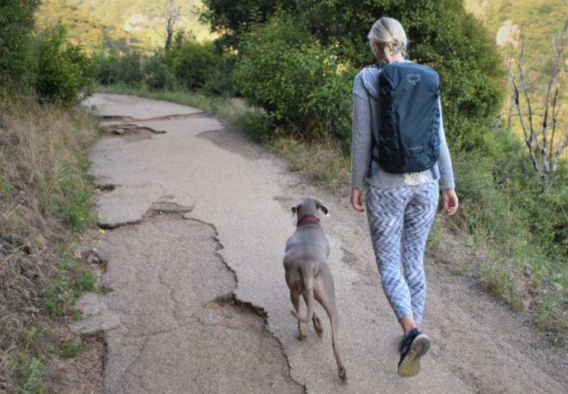 osprey skarab 18 - the skarab is a comfortable choice for hiking and all-around use as...