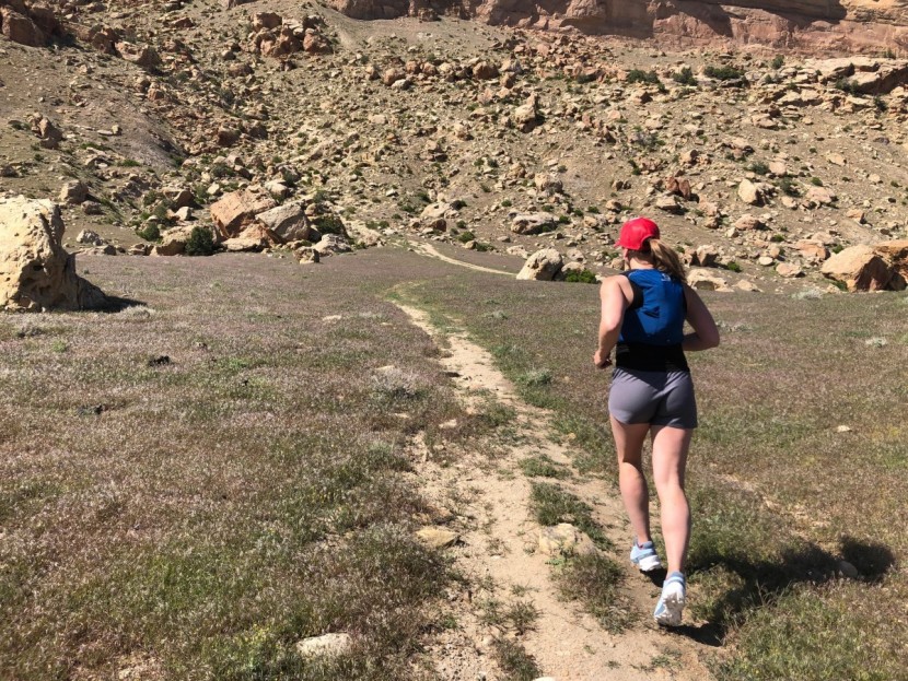 feetures merino 10 - trails, roads, or whatever. this sock offers great protection from...