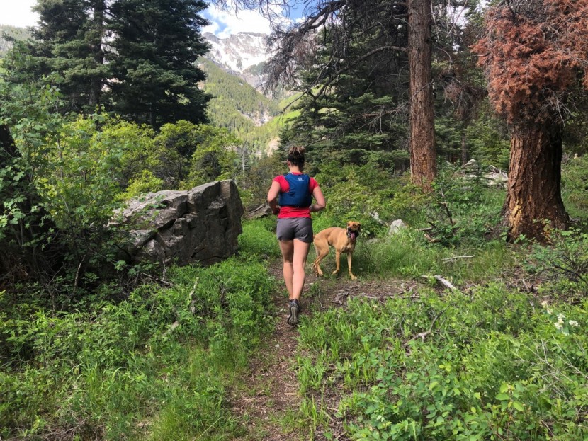 smartwool phd run ultra light micro - running it out on a hot day in the san juan mountains.