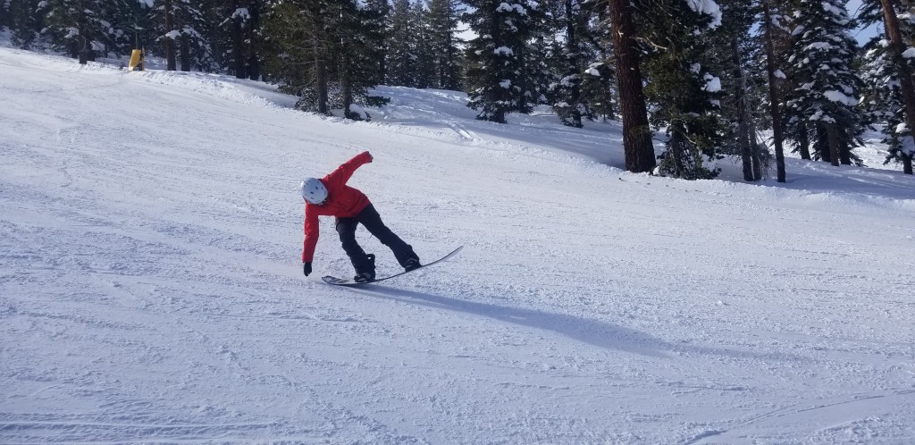 burton family tree story board for women - the story board wouldn&#039;t be our first choice for a park board, but...