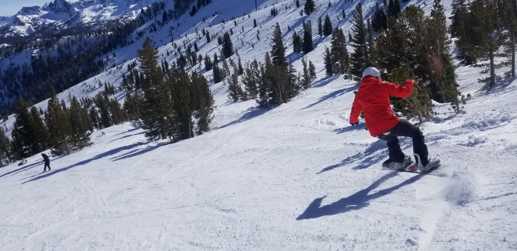 snowboard womens - the ladies choice is a fun board that is playful in all conditions.