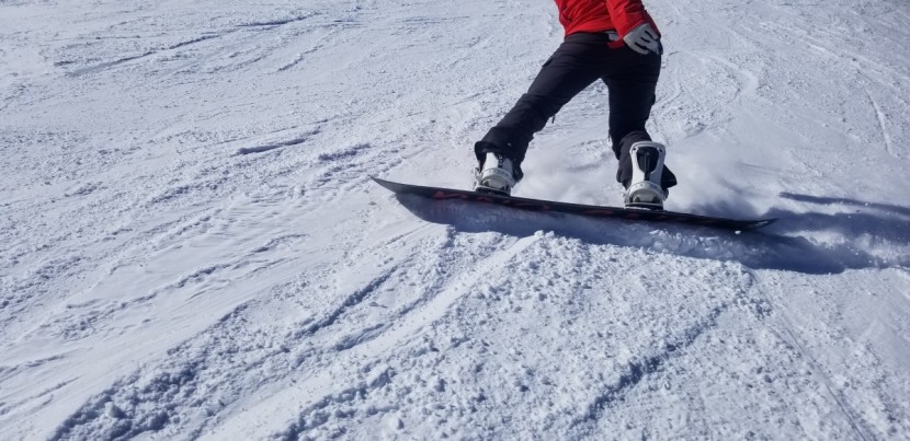 gnu ladies choice - the ladies choice delivered on edge hold on everything from slush to...