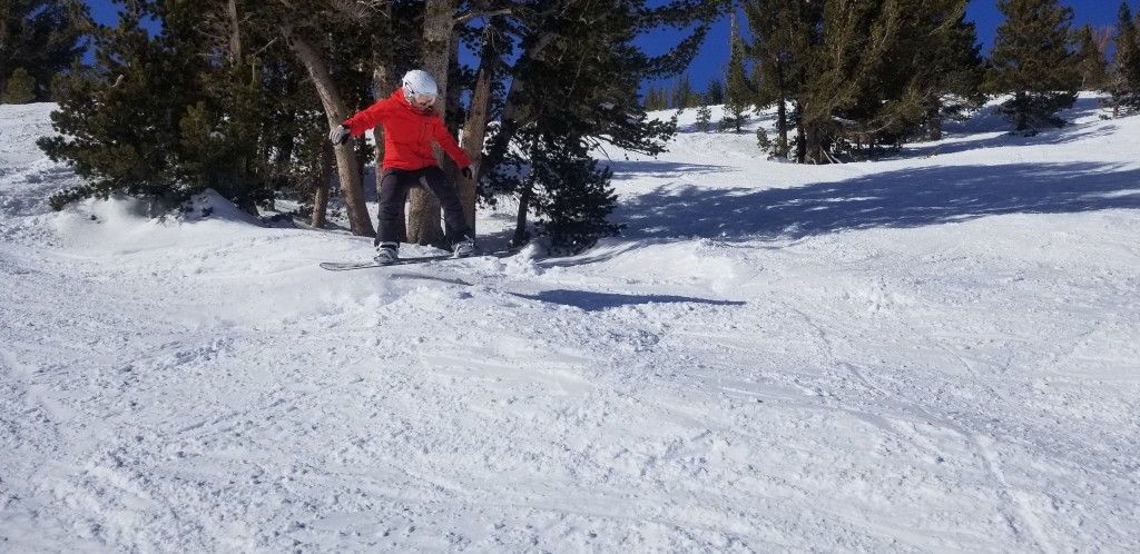 snowboard womens - the ladies choice earned the highest possible score for pop.
