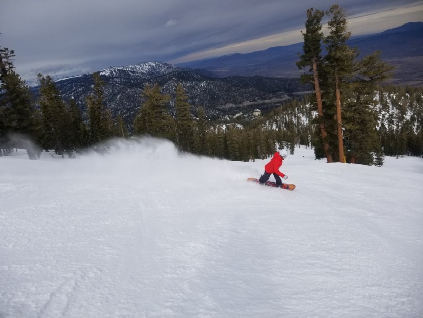 jones twin sister - the twin sister is stable and wants to go fast.