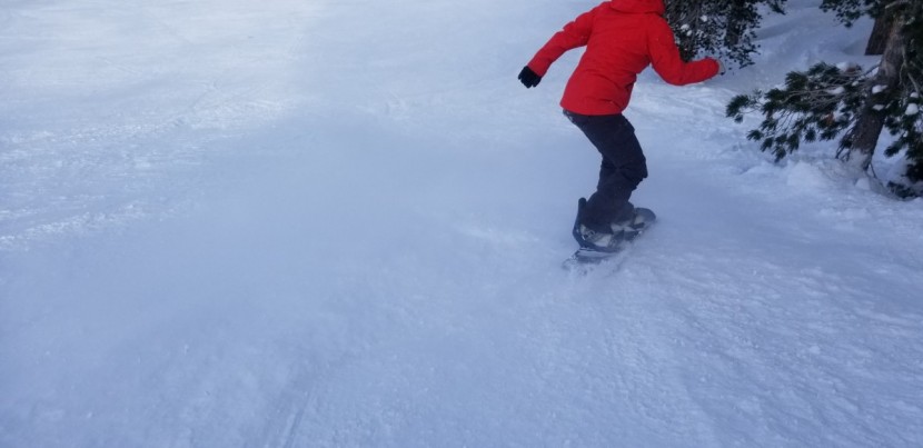 never summer aura - the aura is a good choice for deep snow.