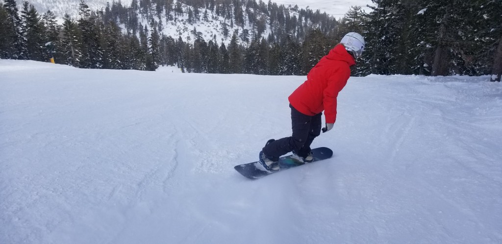 never summer aura - the aura offers superior edge hold in all conditions.