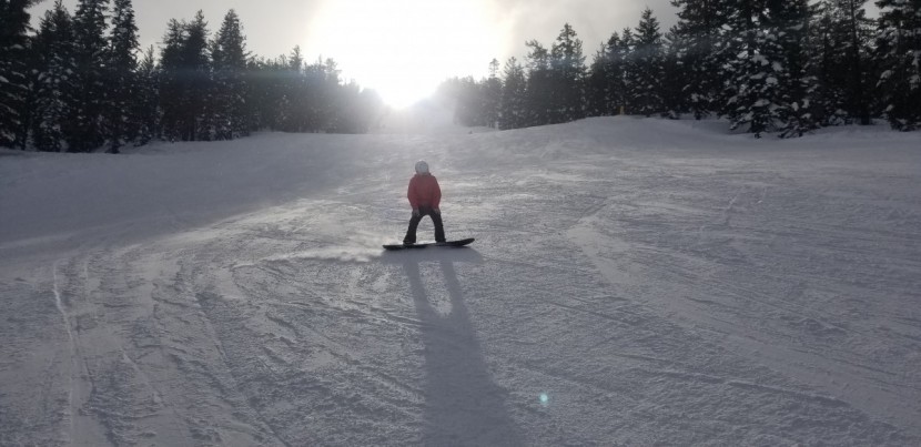 never summer insta/gator