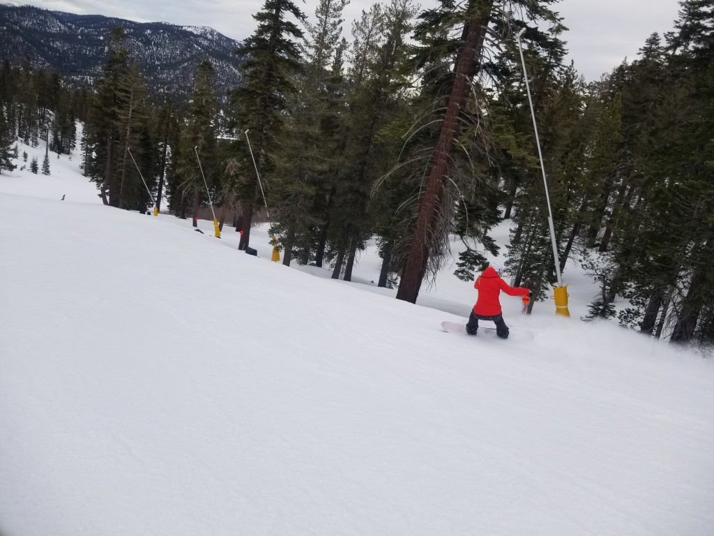 salomon pillow talk for women - the pillow talk excelled in powder.