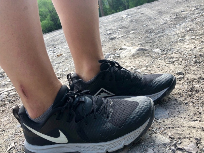 women's nike wildhorse 5