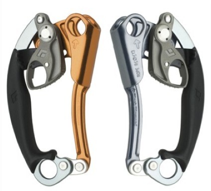 showing the difference between left and right ascenders.