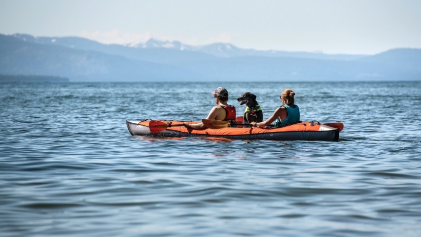 inflatable kayak - the ae tandem feels stable, even with a tall 80-pound dog in tow.