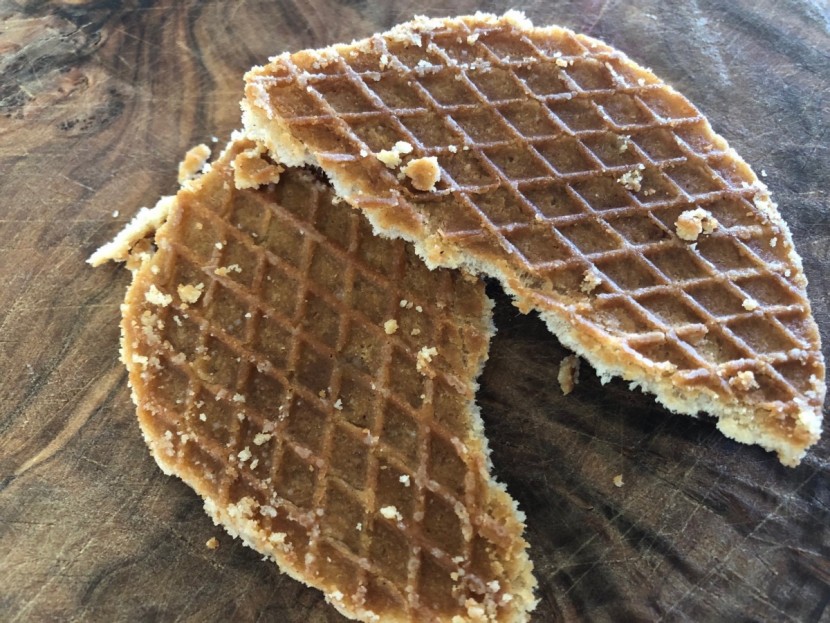 energy bar - honey stinger organic waffle - gingersnap flavor.