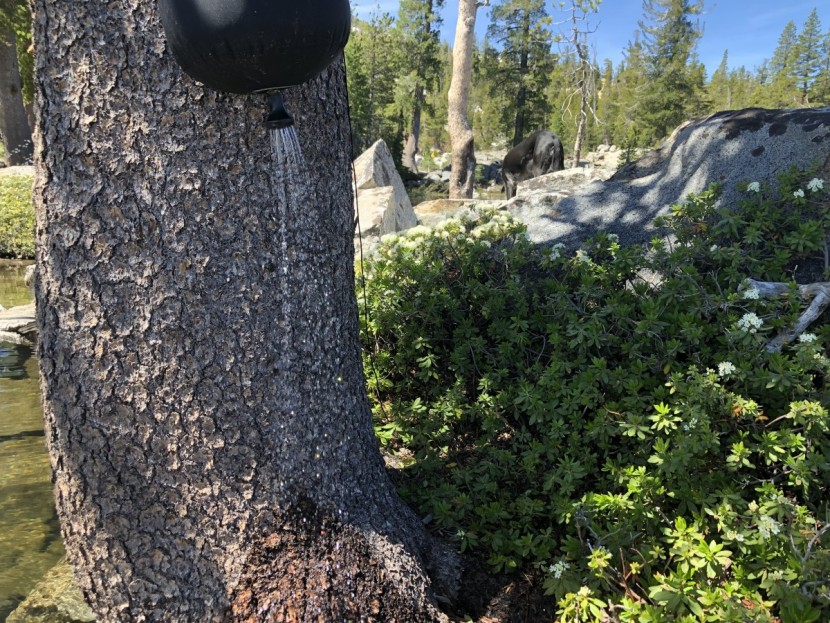sea to summit pocket shower - even just a rinse with some warm water feels like the lap of luxury...