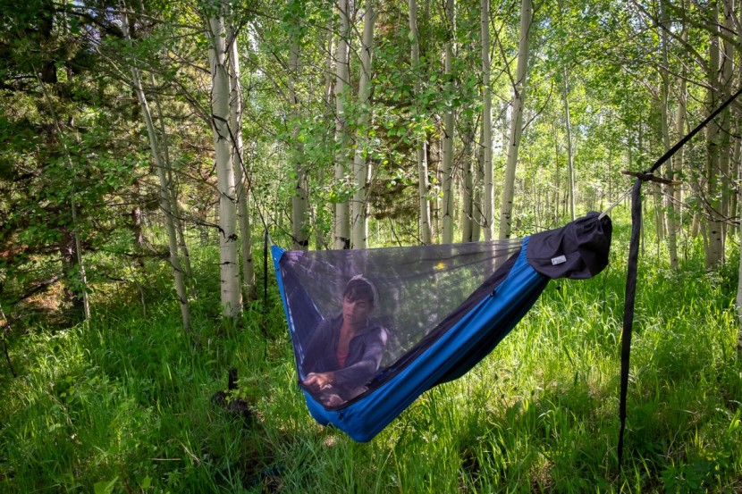 hammock - a beautiful aspen forest with no open ground for a tent can become...