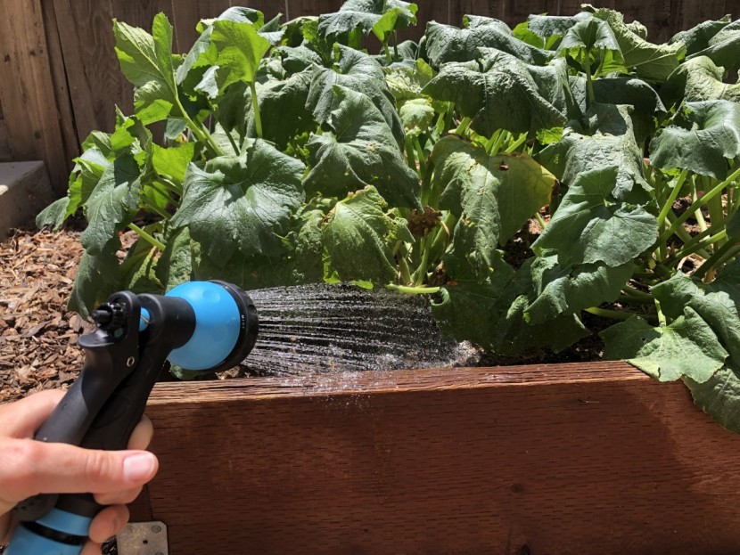 rinsekit pod - the shower setting is the widest spray, and we think the most useful.