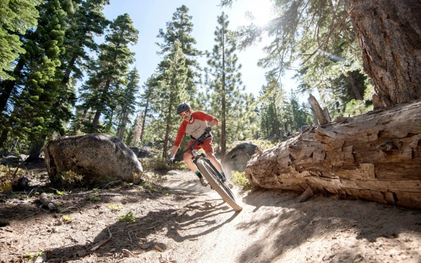 specialized fuse expert 29 - we loved the previous version of the fuse, the 29er version is...