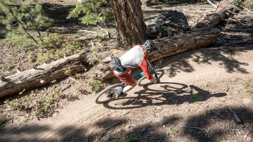 santa cruz chameleon 29 r - versatility is one of the chameleon&#039;s strong suits. adjustable...