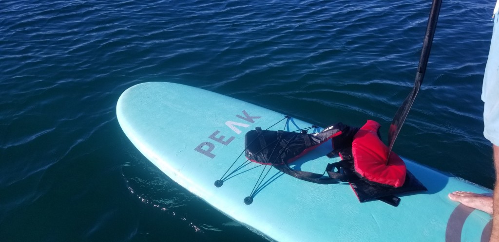 peak escape - you can see some evidence of dog claws in the foam at the front of...